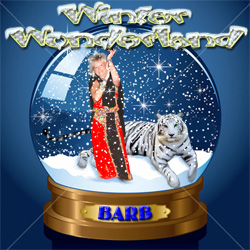 winter wonderland cover cd
