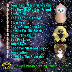 electric back cover CD