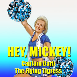 Hey Mickey front CD cover