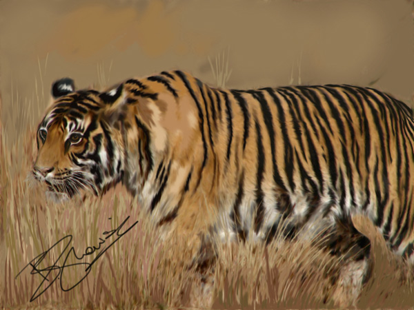 The umarpani tigress painting
