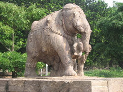Sun Temple elephant