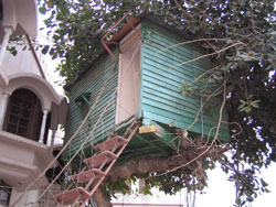 tree house in mohali